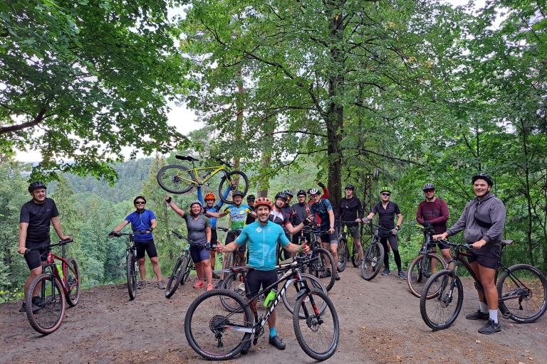Explora el Parque Regional de Pavilniai en bicicleta de montaña
