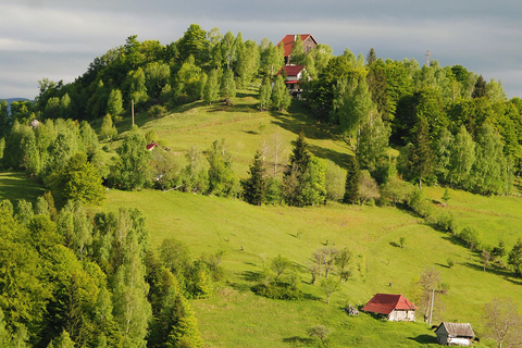 Brașov: Visit a Transylvanian Village Home near Bran Castle From Brașov to a Traditional Village Home in the Bran Area