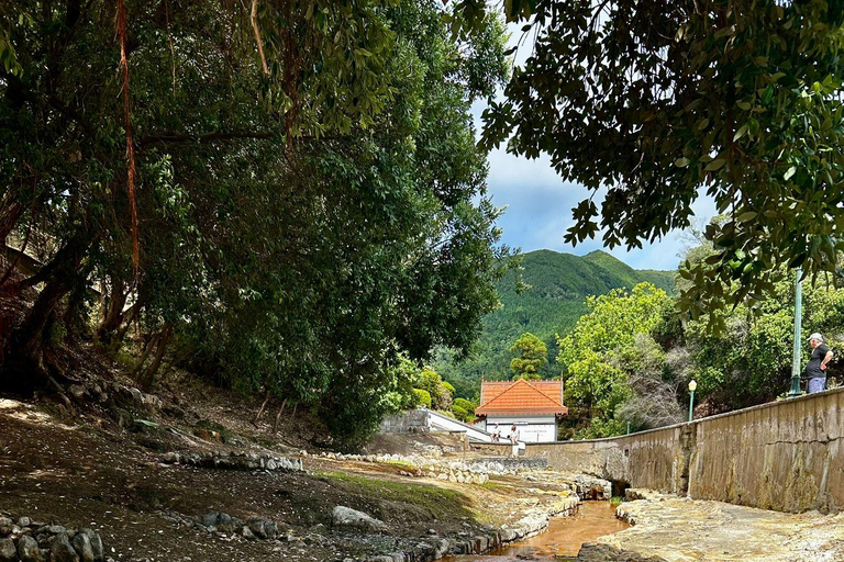 São Miguel: Furnas Half-Day Tour