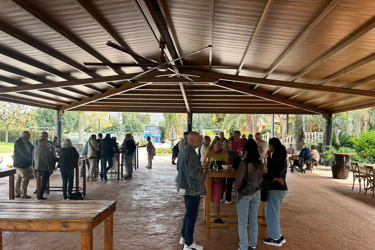 Alicante: Tour de vinhos e almoço com visita a uma adega e Novelda