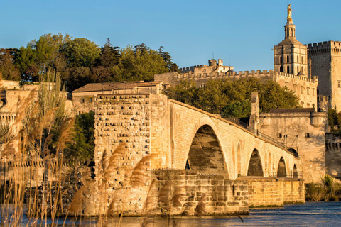 O melhor de Avignon: excursão a pé com um guia localExcursão a pé privada pela cidade - 2Hr