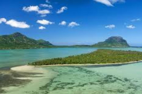 Prywatne pływanie z delfinami/snorkeling i lunch na wyspie Benitiers