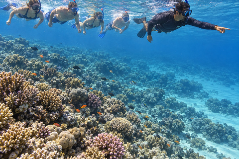Marsa Alam: Hamata Islands Snorkeling Trip with Lunch