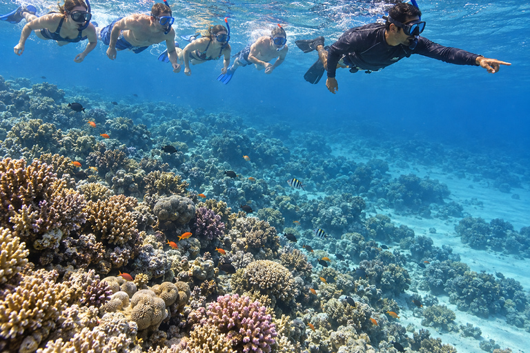 Marsa Alam: Hamata Islands Snorkeling Trip with Lunch