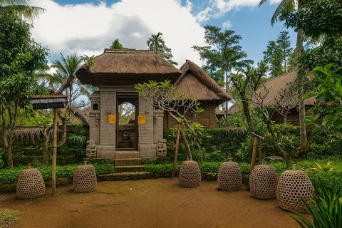 Bali: Serenity Sacred Tirta Empul, Rice Fields & Coffee