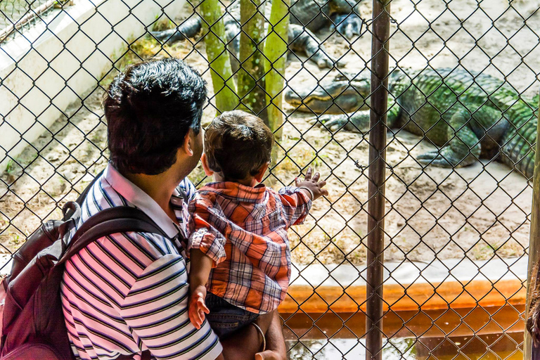 Miami : Visite du parc Safari des Everglades en canot pneumatique