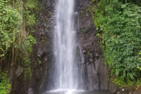 St. Vincent: Dark View Falls Tour