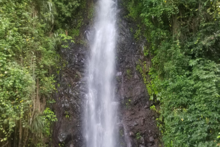 St. Vincent: Dark View Falls Tour