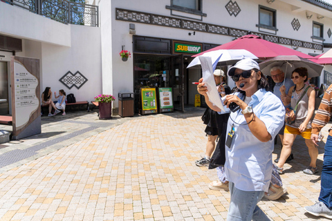 Private VIP Lantau Tour with Top Guide and Hotel Transfer Private VIP Lantau Tour (with VIP Vegetarian lunch)