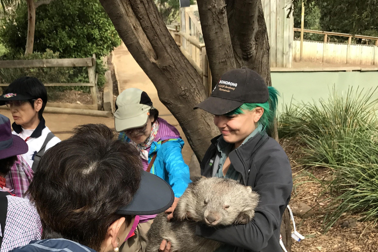 Bonorong Wildlife Sanctuary Shuttle: Hobart Excursie vanaf de kust