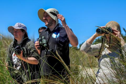 Birdwatching trip to the Uruguayan wetlands Birdwatching trip to the Uruguay Wetlands