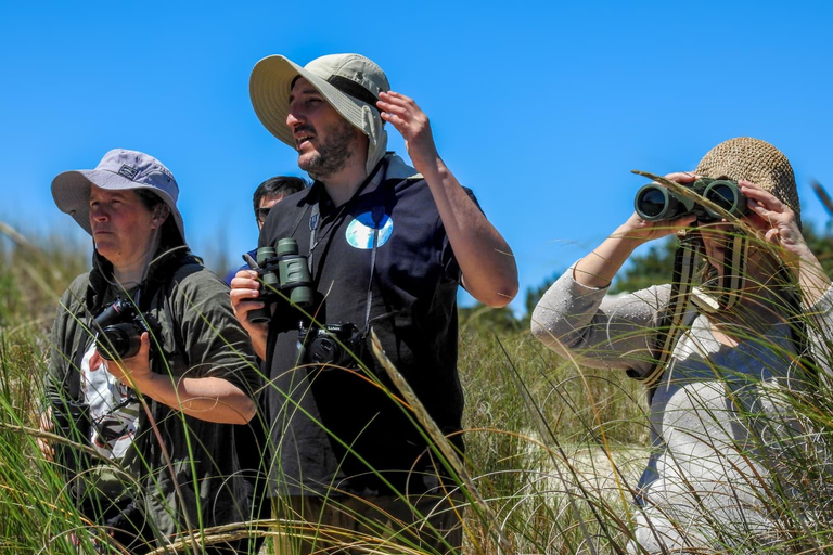 Birdwatching trip to the Uruguayan wetlands Birdwatching trip to the Uruguay Wetlands