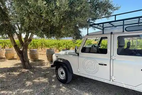VISITA A UMA BODEGA HISTÓRICA E PROVA DE VINHOS EM CONSELL