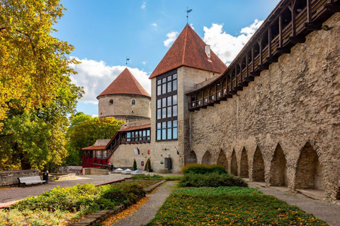 Les joyaux cachés de Tallinn : Promenade guidée dans la vieille ville