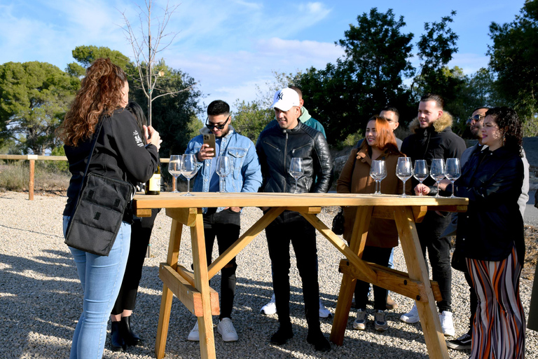 Tarragona: Wine Cathedral Tour Wine, Cava and Food Tasting
