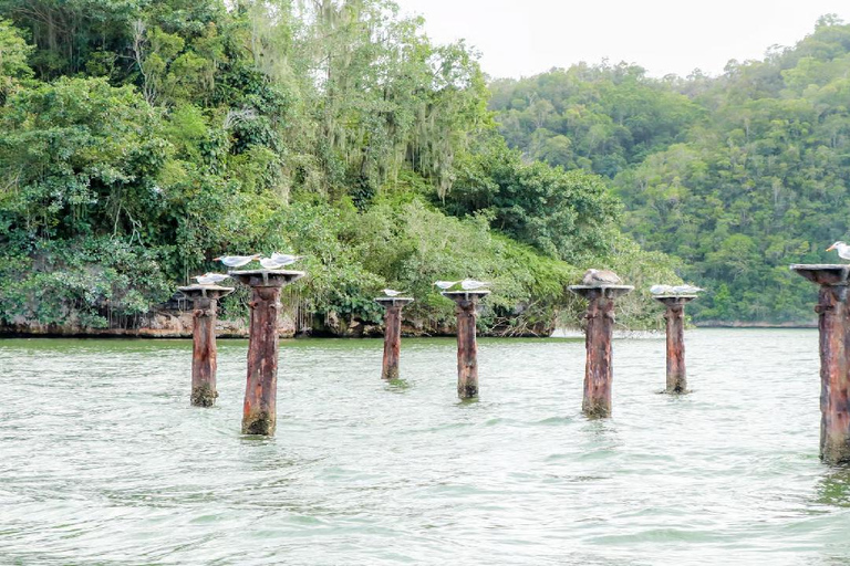 Mangroves, Mogotes and Mountains from Punta Cana
