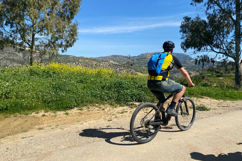 From Ronda: Cycling - Via Verde de la Sierra-Easy Difficulty From Ronda: Cycle the Via Verde de la Sierra