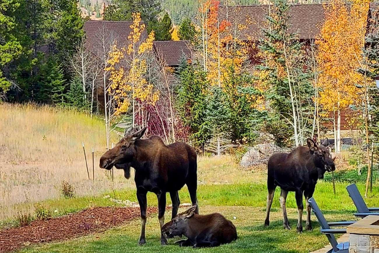 From Denver: Breckenridge & Continental Divide Explorer