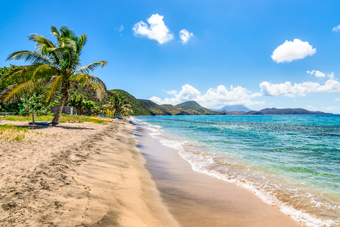 St. Kitts: Top Sights Guided Van or Open-Air Safari Tour