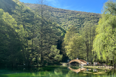 Sarajevo: Vrelo Bosne E-Bike Tour with Snacks