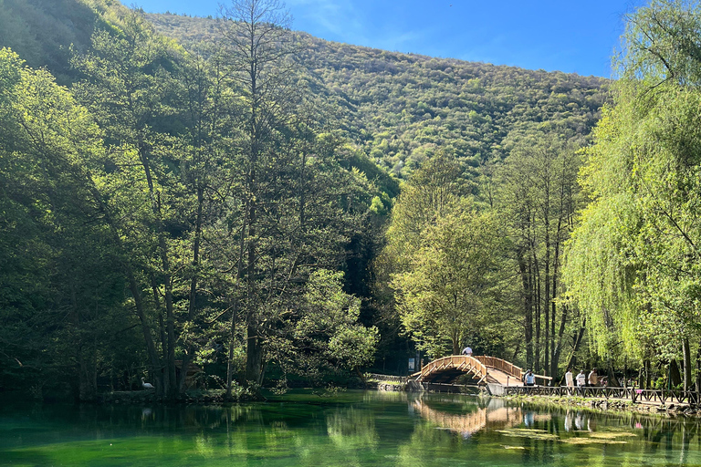 Sarajevo: Vrelo Bosne E-Bike Tour with Snacks