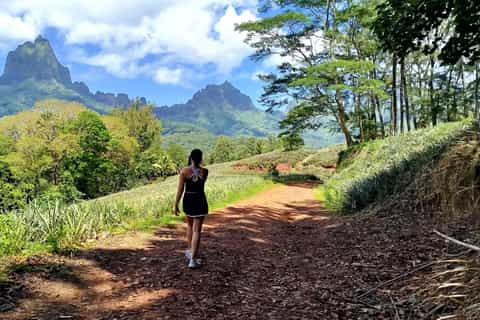 Moorea : demi-journée privée randonnée Montagne Magique & Dégustation VIP