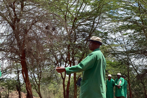 Från Nairobi: David Sheldrick Elephant Trust halvdagsutflykt