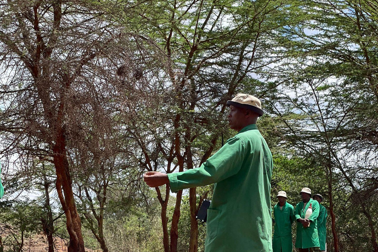 From Nairobi: David Sheldrick Elephant Trust Half Day Tour