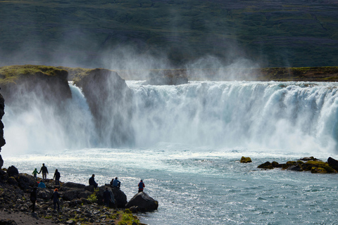 Akureyri: tour della cascata di Goðafoss con prelievo dal porto