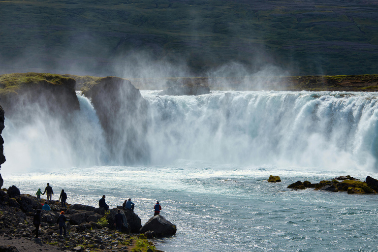 Akureyri: tour della cascata di Goðafoss con prelievo dal porto