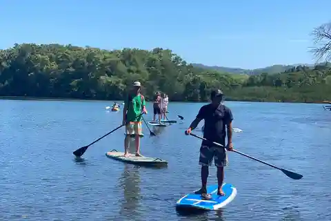 Nosara: Rio Montana Mangrove SUP or Kayak Tour