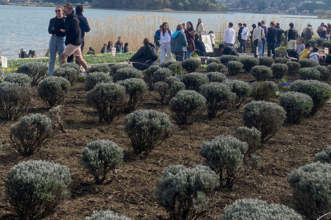 Från Tokyo: Fuji-berget eller Hakone Sightseeing Privat dagstur