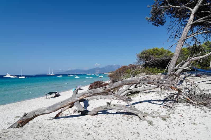 From Calvi: Agriate Guided Jeep Tour to Lotu and Saleccia | GetYourGuide