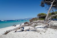 De Calvi, tournée de jeep guidée agrié à Lotu et Saleccia - Housity