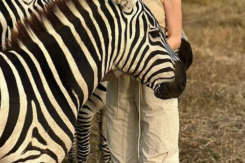 SERVAL DJURLIV DAG - TUR FRÅN ARUSHA, MOSHI ELLER ZANZIBAR.