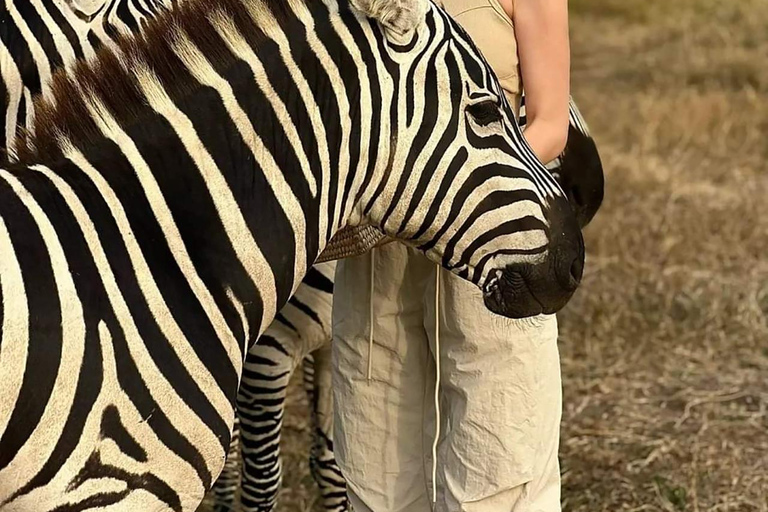 SERVAL DJURLIV DAG - TUR FRÅN ARUSHA, MOSHI ELLER ZANZIBAR.