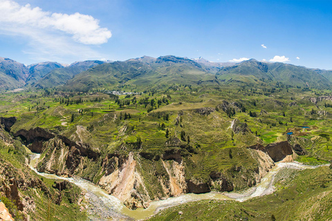 Desde Arequipa: Explora el Cañón del Colca 2D/1NDesde Arequipa: Explora el Cañón del Colca en un 2D/1N