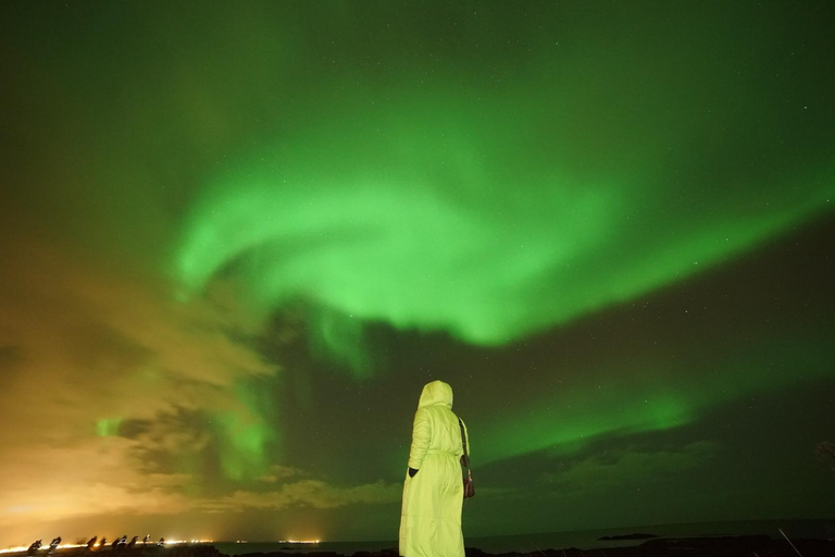 Reykjavik: Minibús en grupo pequeño Northern Lights