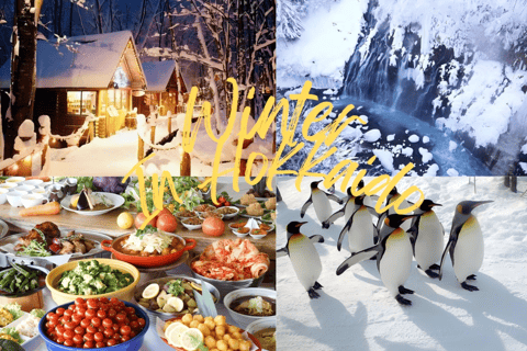 Hokkaido, Sappro,Asahikawa & Ningle Terrace | One-day tour