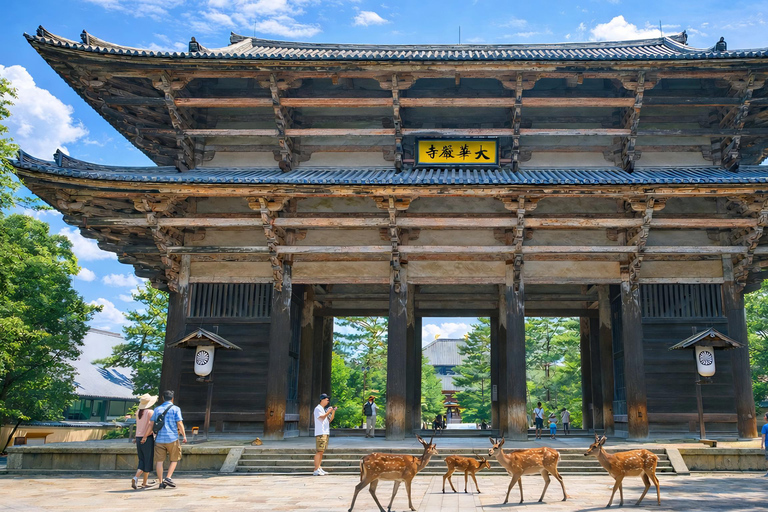 Kyoto: Private City Highlights Tour (Local Guide 6-Hour)