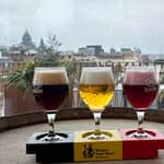 Bruxelles: biglietto per la terrazza con degustazione di tre (3) birre belghe