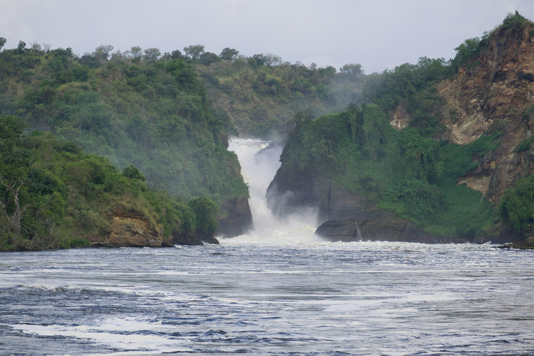 Ouganda : Safari de 3 jours dans le parc national des chutes Murchison