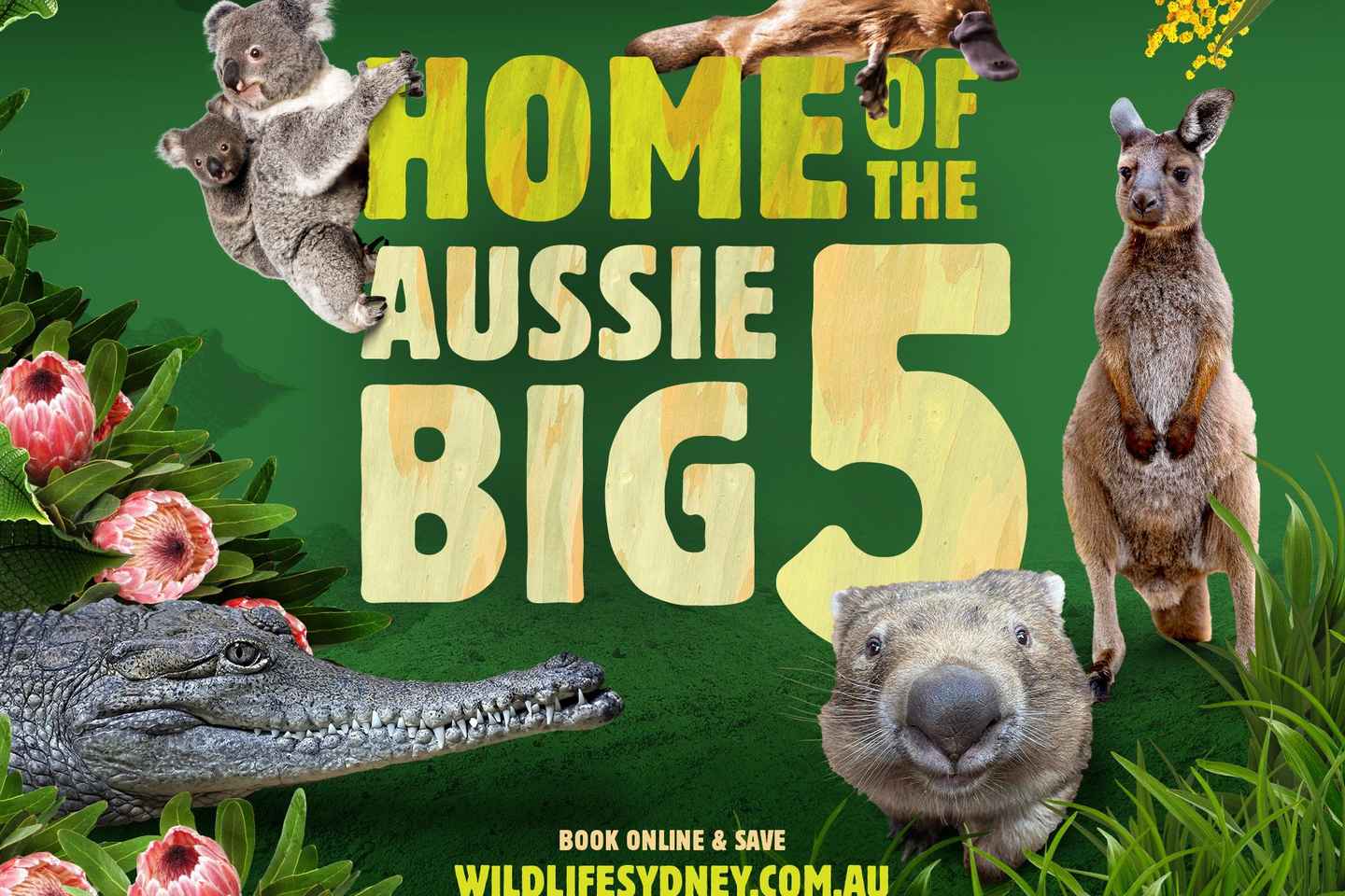 WILD LIFE Sydney Zoo - Same Day: WILD LIFE Sydney - Bookings for Today