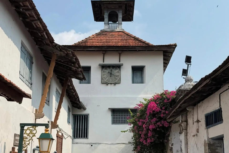 Kochi: Athirappilly Waterfalls & Fort Kochi Full Day Tour