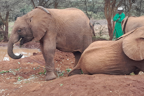 Giraffe, Elephant orphanage&amp; Bomas of Kenya Day Tour