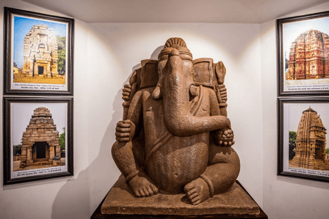 Desde Delhi: excursión de 1 día a Raipur y Rajim con vuelos