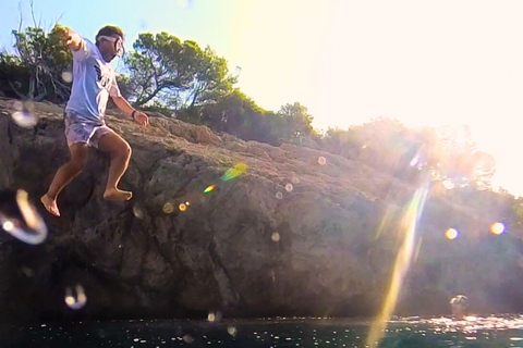 Alcudia: Private boat tour to the lighthouse island