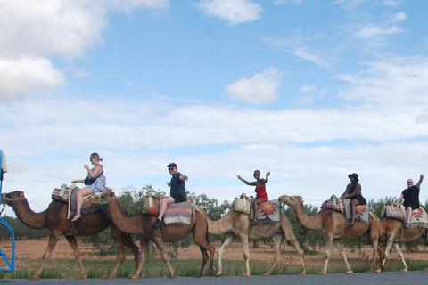 Hammamet: Camel Ride, Lunch, and Quad Biking Tour