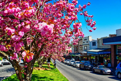 Sydney: Blue Mountains 3 Scenic Walks Ultimate Guided Tour Shared Tour, Meet at Furama Darling Harbour