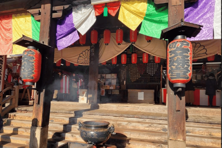 Kyoto Amanohashidate, excursion dans la baie d'Ine avec bateau/téléphérique en optionDépart de la gare d'Osaka à 8 h 40 - Comprend le téléphérique et la croisière